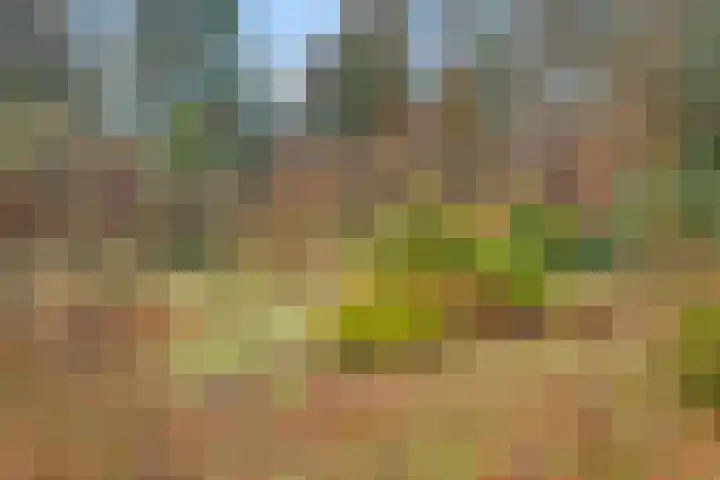 de Joncheerelaan 107 Nijverdal thumbnail 30