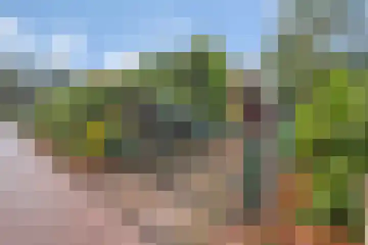 de Joncheerelaan 107 Nijverdal thumbnail 31