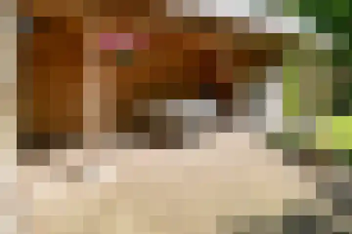 de Joncheerelaan 118 Nijverdal thumbnail 32
