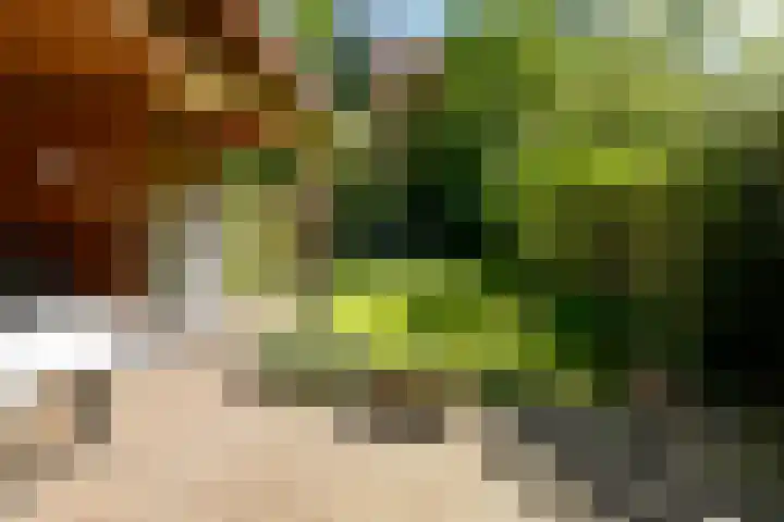 de Joncheerelaan 118 Nijverdal thumbnail 33
