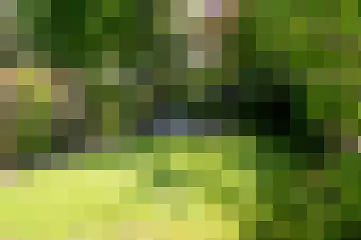de Joncheerelaan 118 Nijverdal thumbnail 37