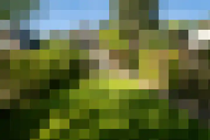 de Joncheerelaan 118 Nijverdal thumbnail 43
