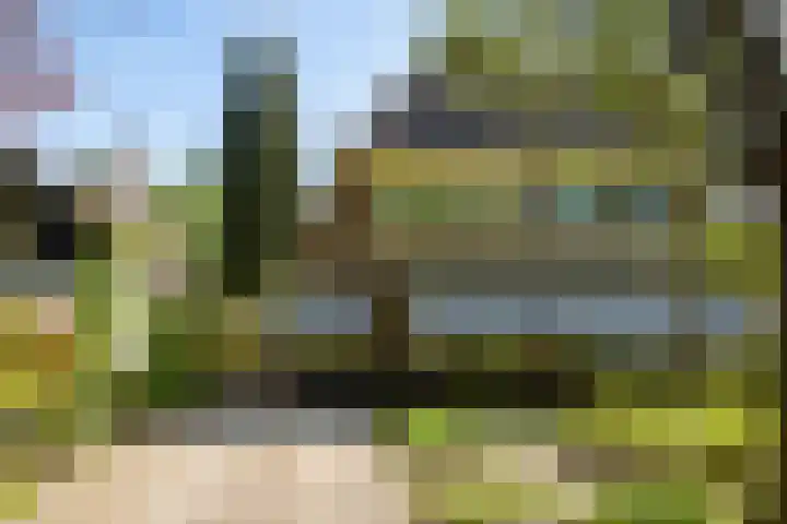 de Joncheerelaan 118 Nijverdal thumbnail 63