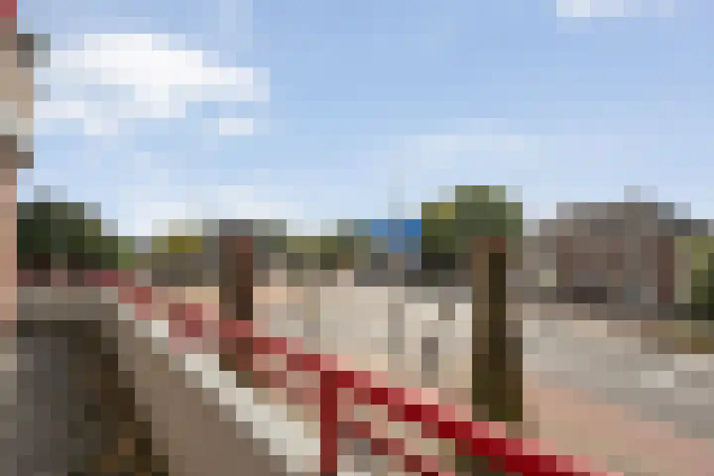 de Joncheerelaan 3 08 Nijverdal thumbnail 24