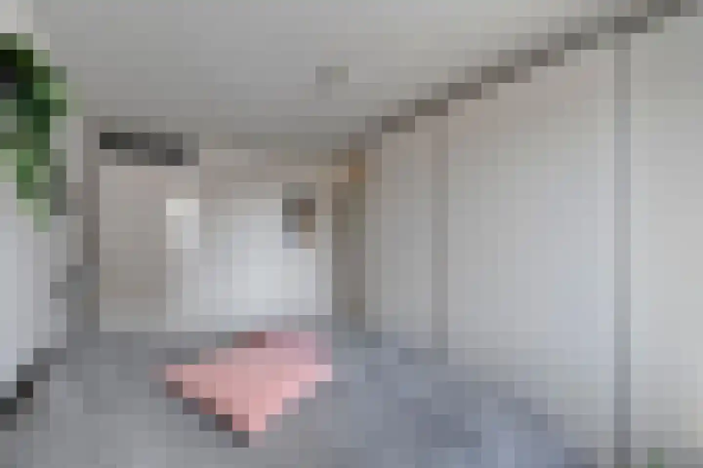 de Joncheerelaan 3 19 Nijverdal thumbnail 22