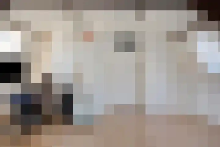 de Joncheerelaan 5 Harmelen thumbnail 18
