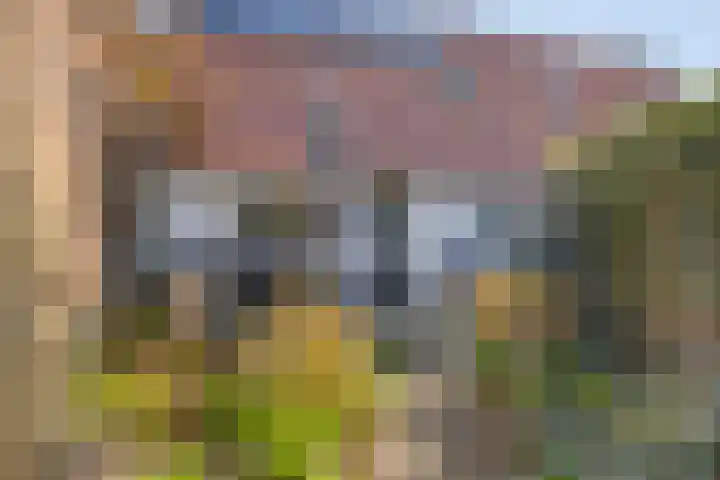 de Joncheerelaan 5 Harmelen thumbnail 20