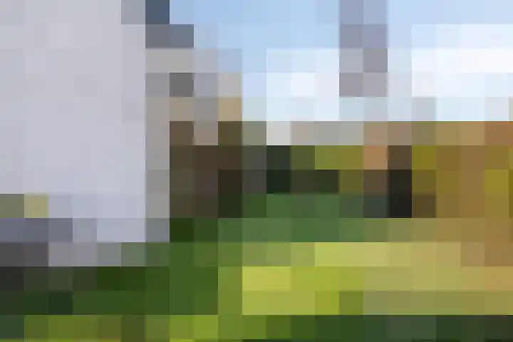de Joncheerelaan 5 Harmelen thumbnail 21