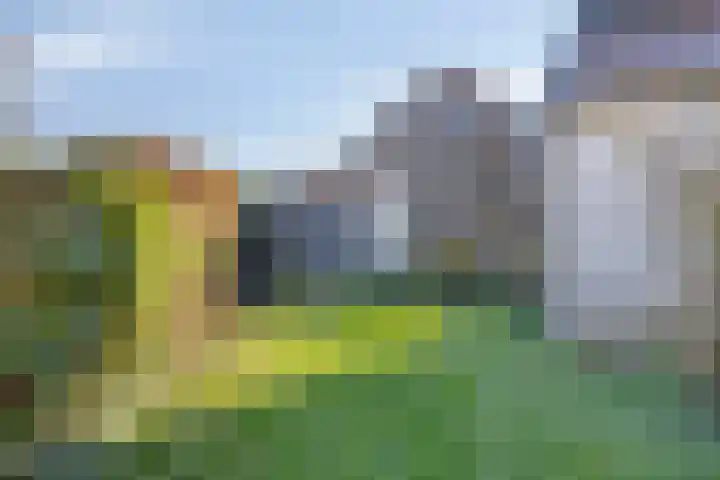 de Joncheerelaan 5 Harmelen thumbnail 22