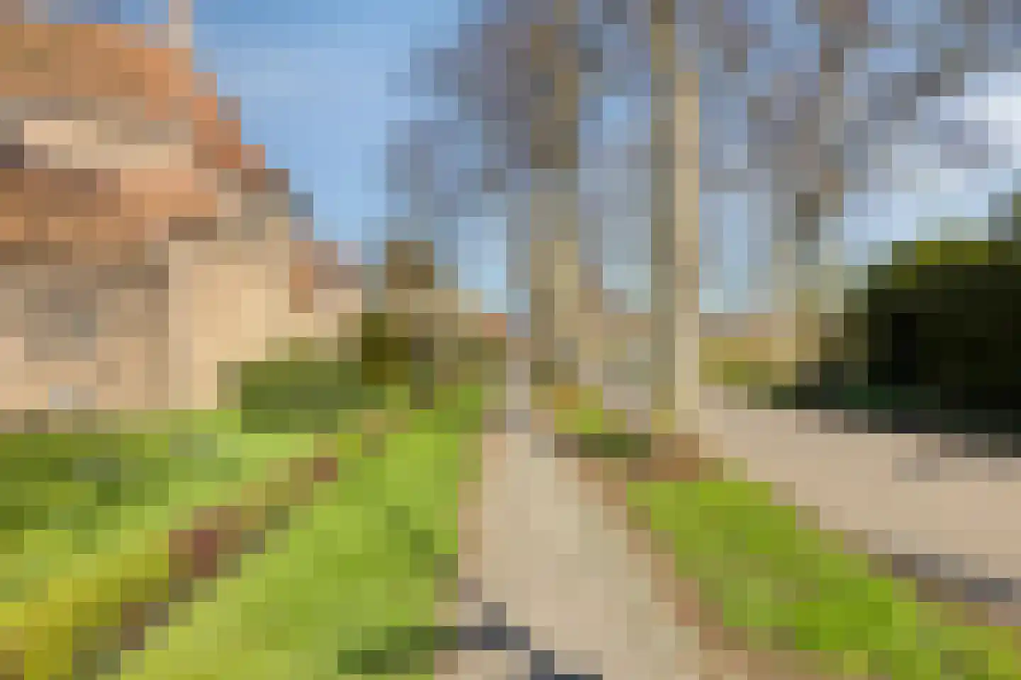 de Joncheerelaan 5 Harmelen thumbnail 34