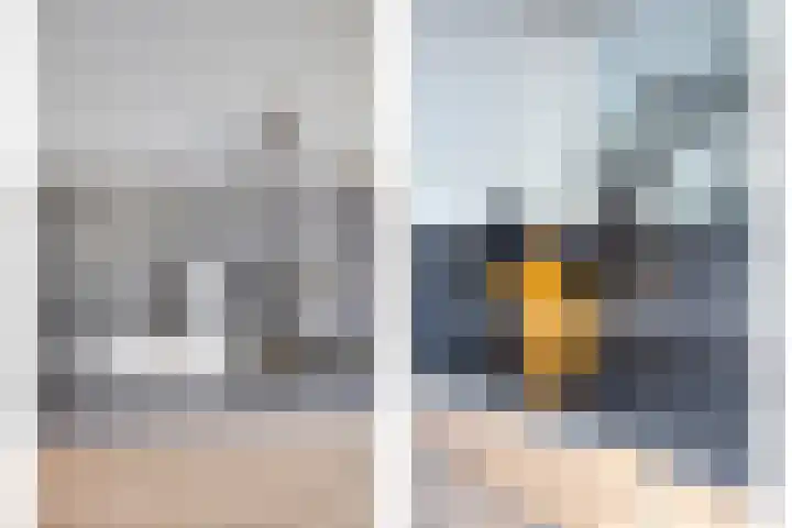 de Joncheerelaan 5 Harmelen thumbnail 8
