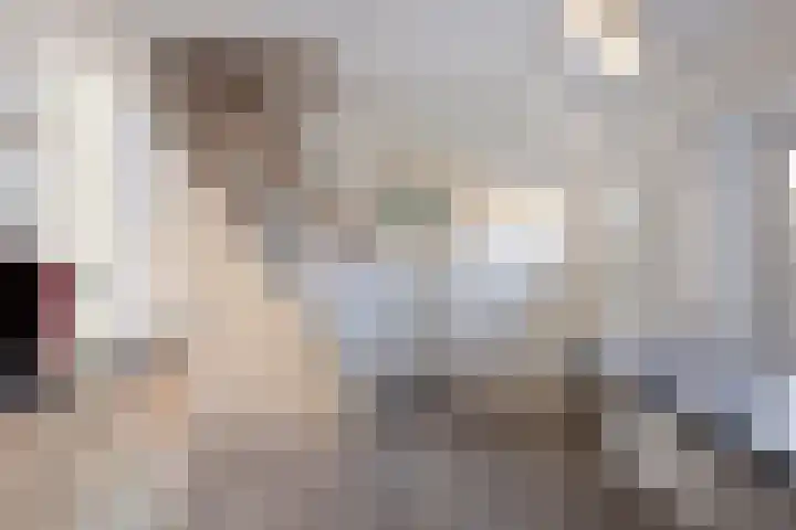 de Joncheerelaan 5 Harmelen thumbnail 9