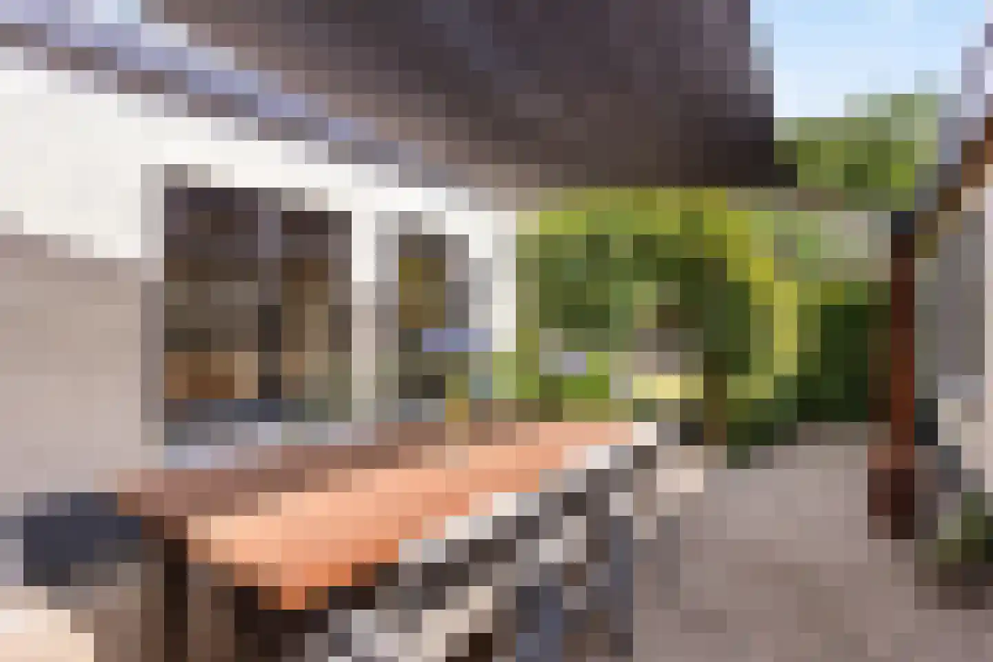 de Joncheerelaan 60 Nijverdal thumbnail 14