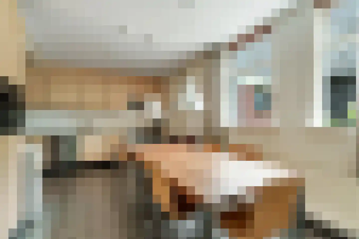 de Joncheerelaan 69 Nijverdal thumbnail 11