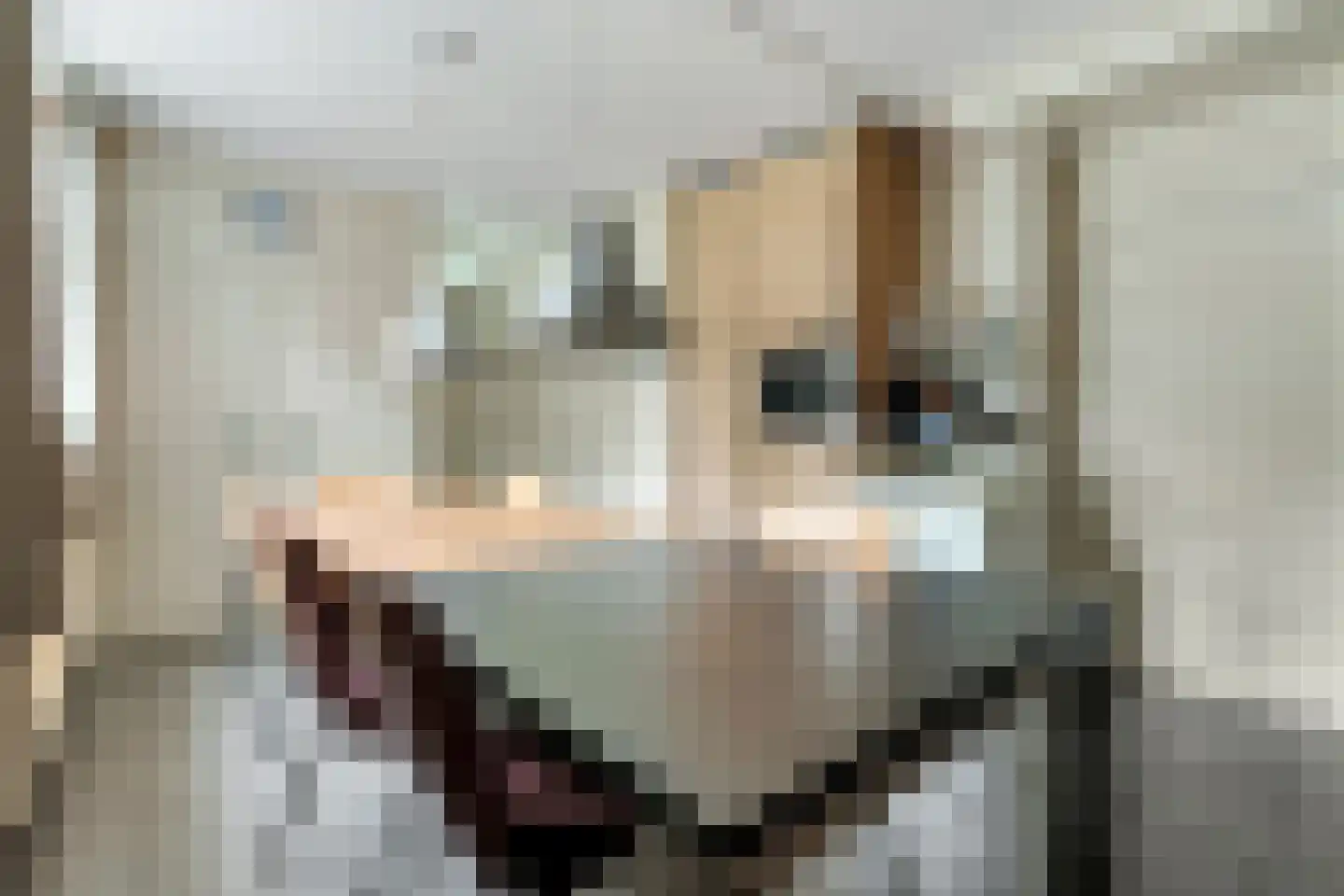 de Joncheerelaan 69 Nijverdal thumbnail 13