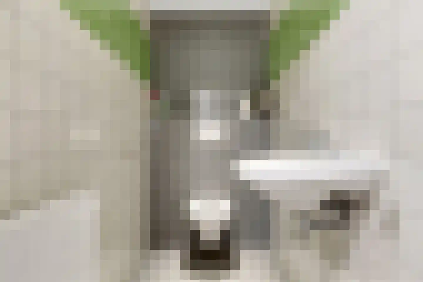 de Joncheerelaan 69 Nijverdal thumbnail 25
