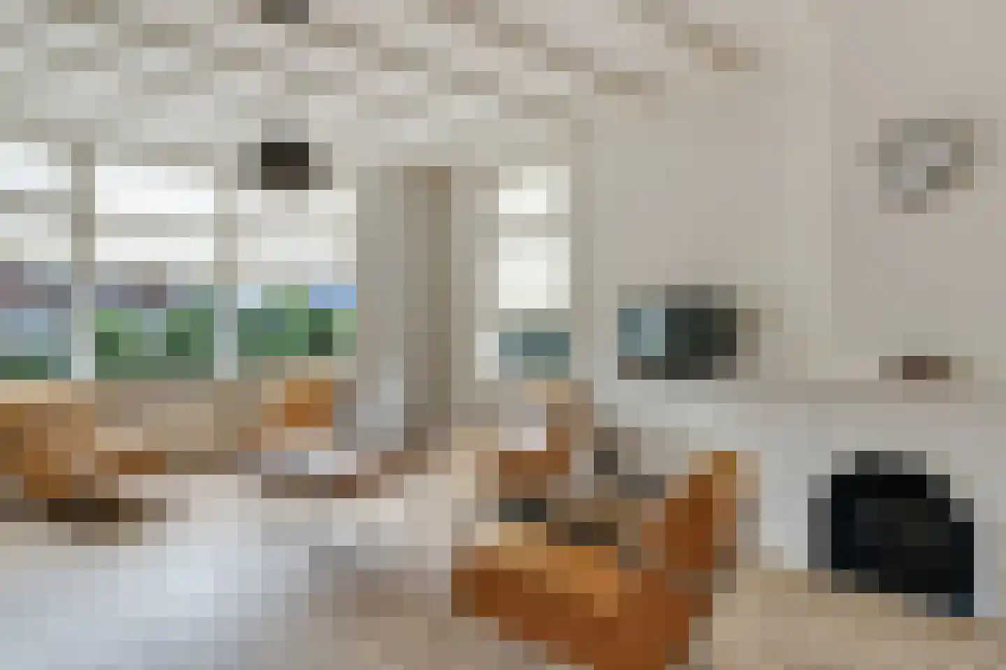 de Joncheerelaan 69 Nijverdal thumbnail 5