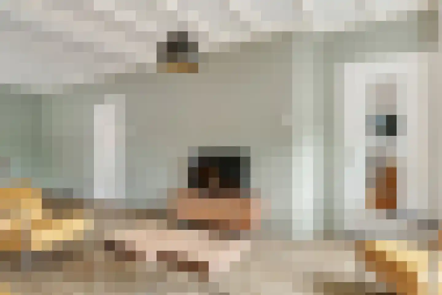de Joncheerelaan 69 Nijverdal thumbnail 6
