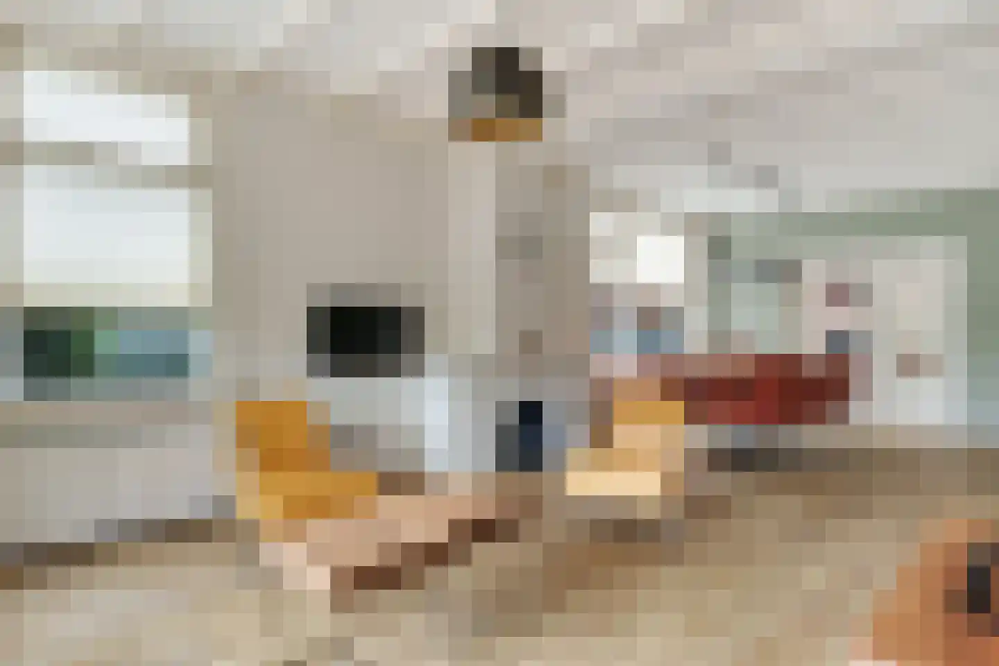 de Joncheerelaan 69 Nijverdal thumbnail 7