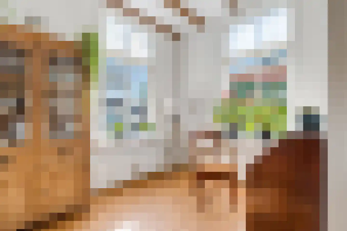 de Joncheerelaan 90 Nijverdal thumbnail 10