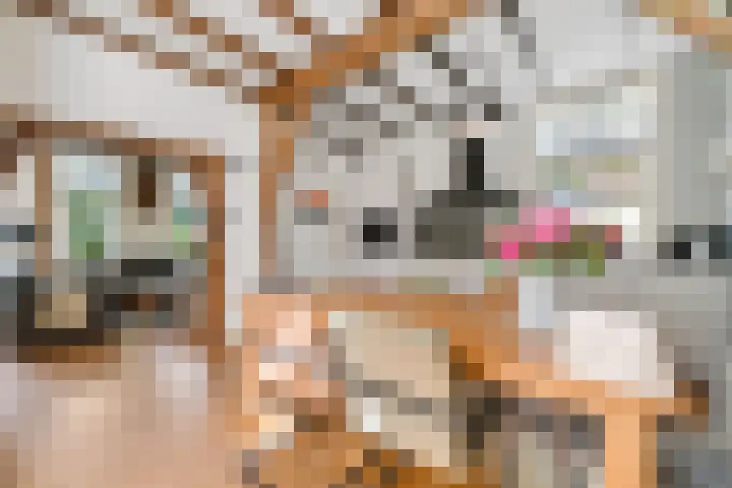 de Joncheerelaan 90 Nijverdal thumbnail 11