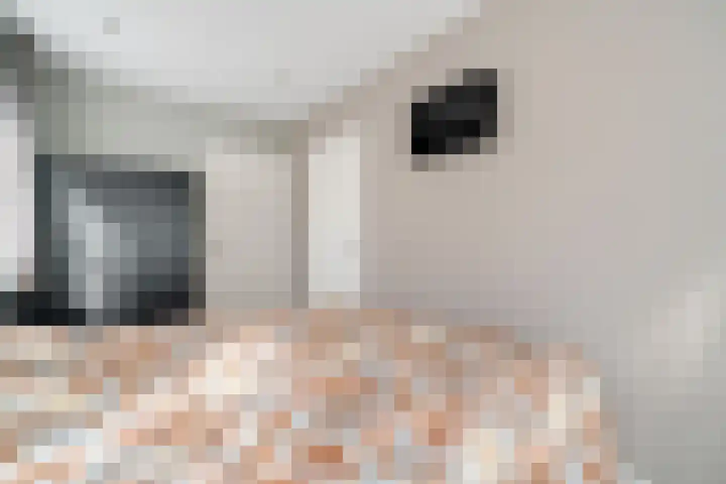 de Joncheerelaan 90 Nijverdal thumbnail 12