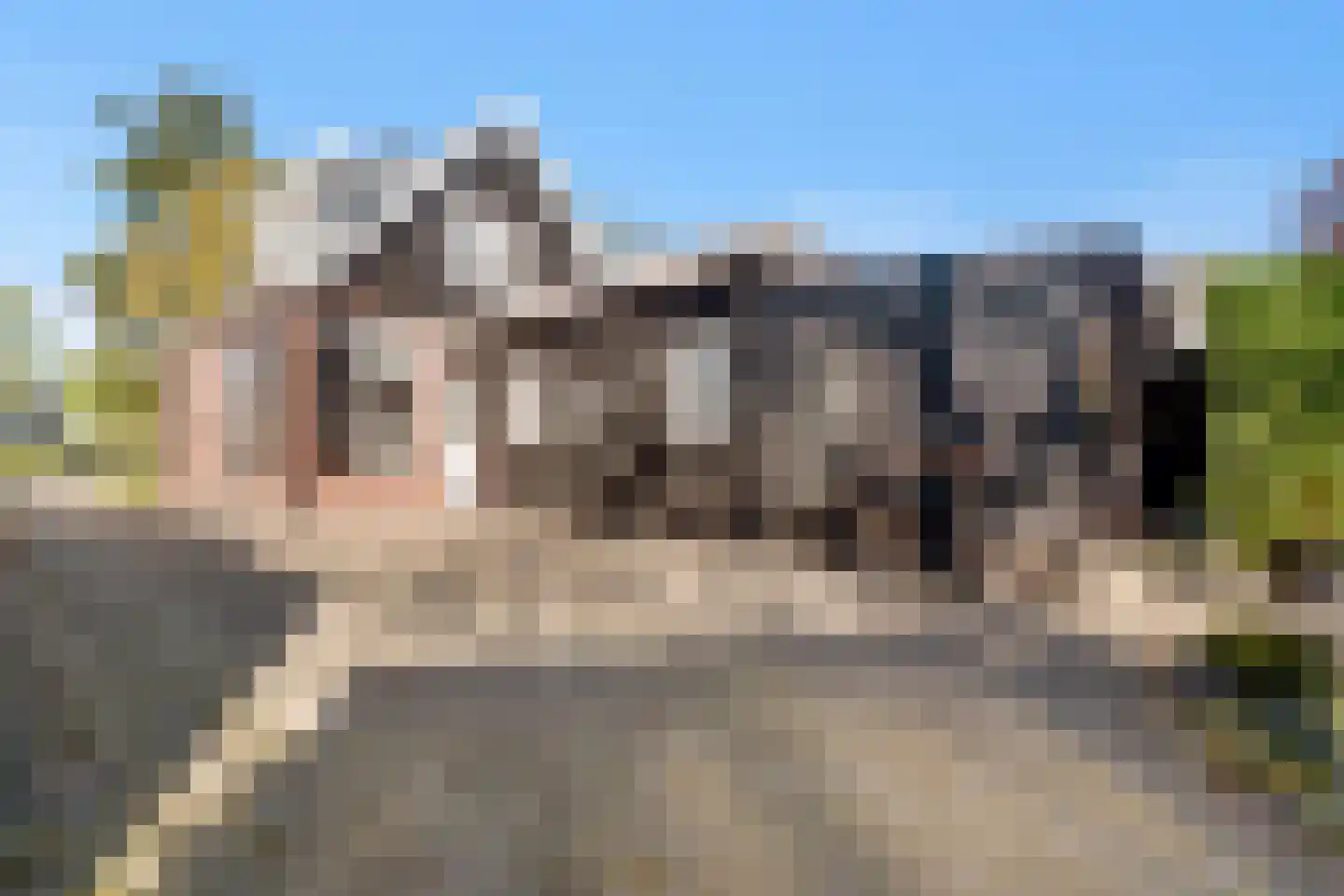 de Joncheerelaan 90 Nijverdal thumbnail 25
