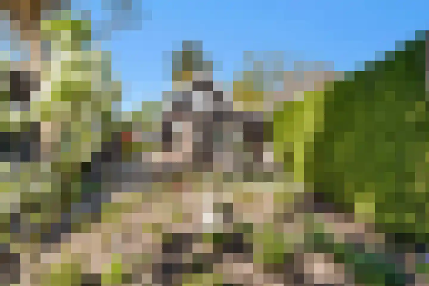 de Joncheerelaan 90 Nijverdal thumbnail 27