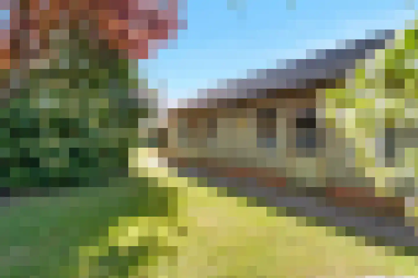 de Joncheerelaan 90 Nijverdal thumbnail 31