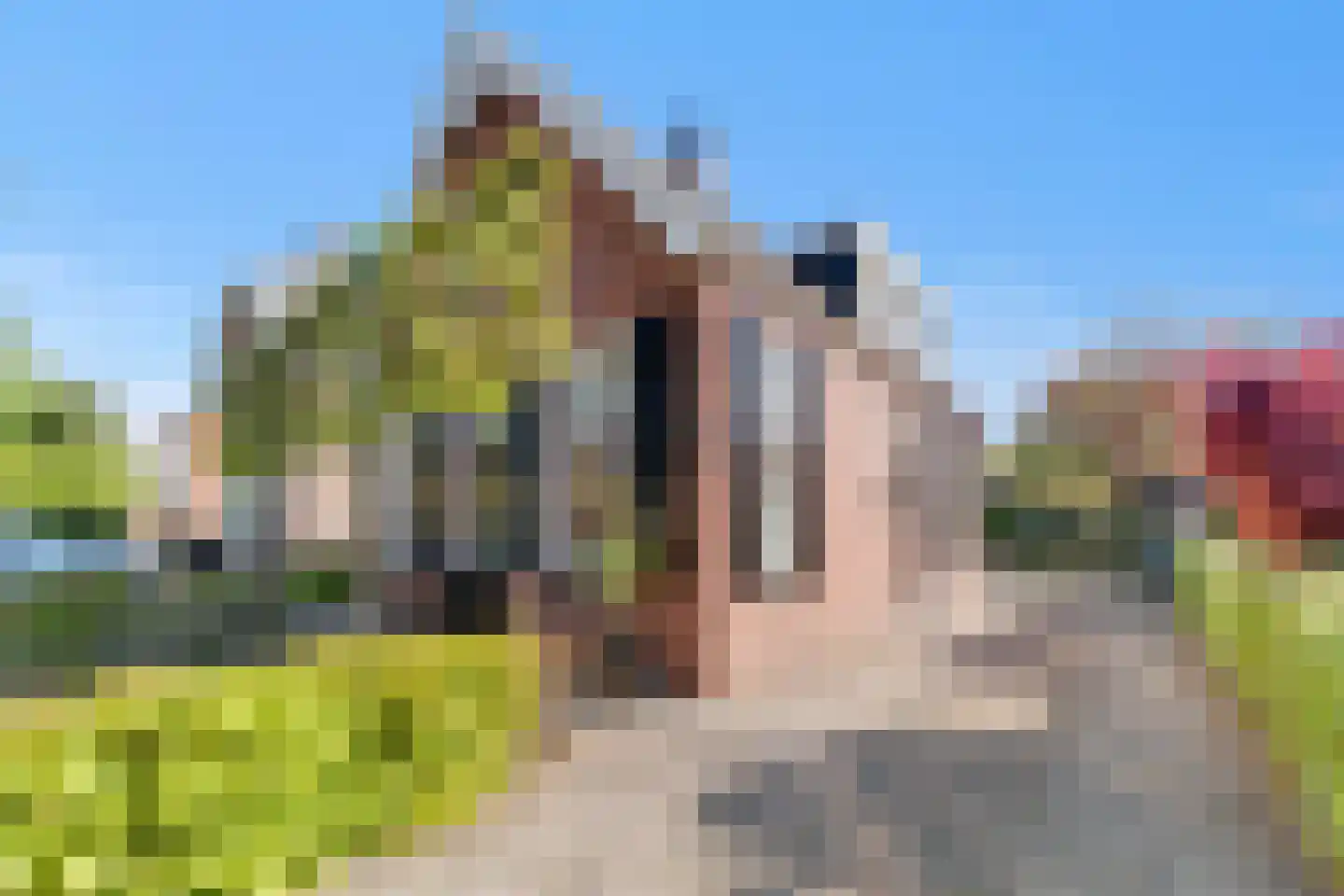 de Joncheerelaan 90 Nijverdal thumbnail 38