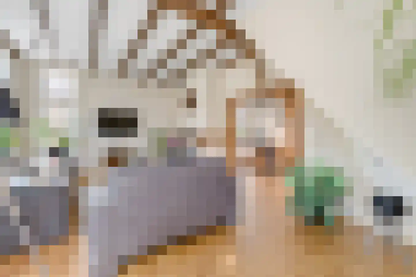 de Joncheerelaan 90 Nijverdal thumbnail 5