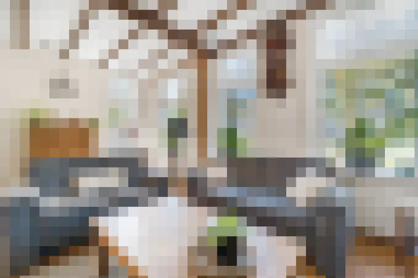 de Joncheerelaan 90 Nijverdal thumbnail 7