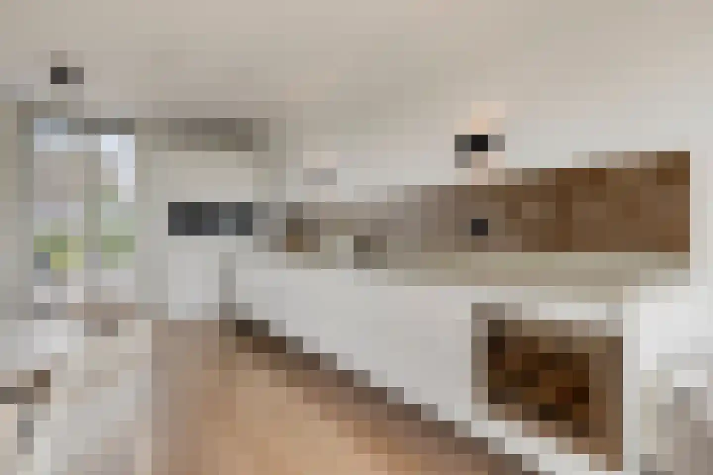 De Jonge Prins 16 Zaandam thumbnail 18