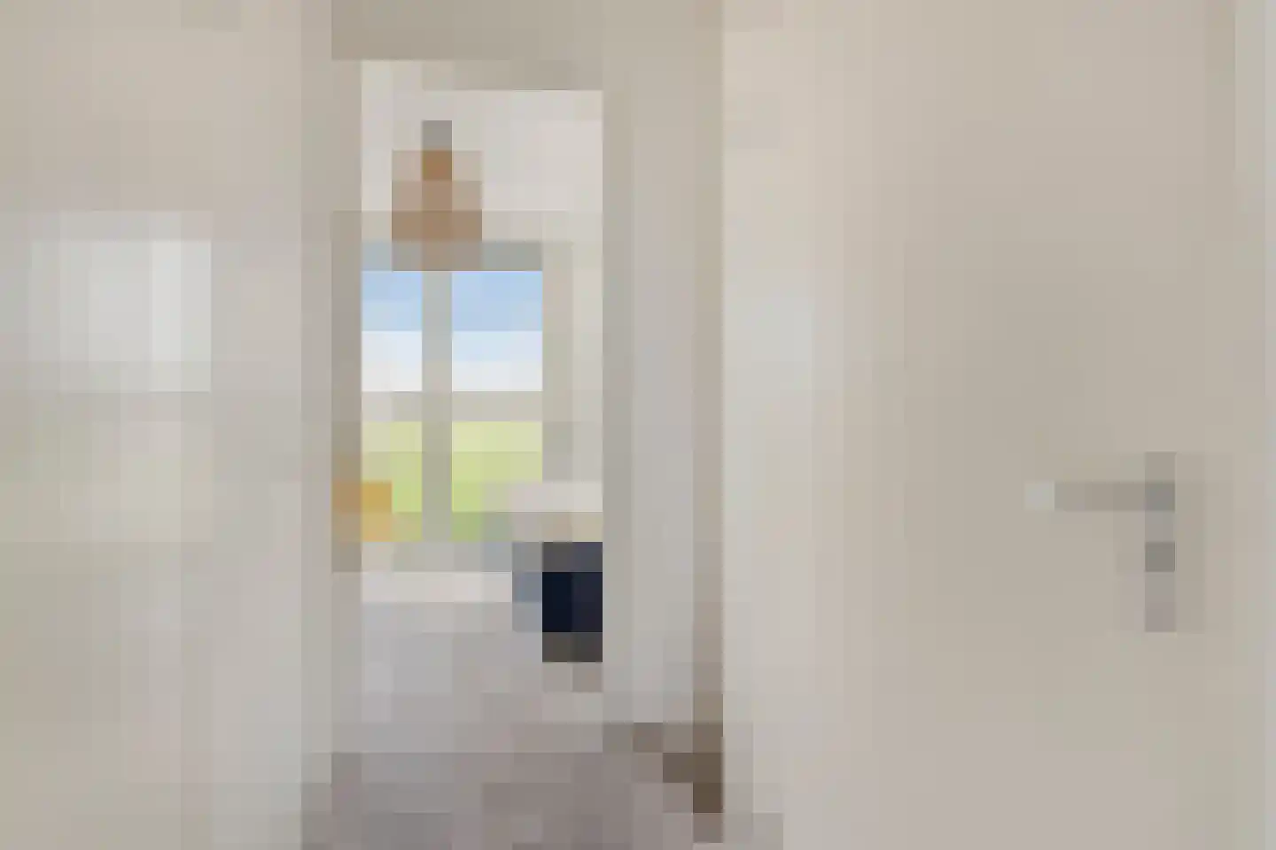 De Jonge Prins 16 Zaandam thumbnail 30