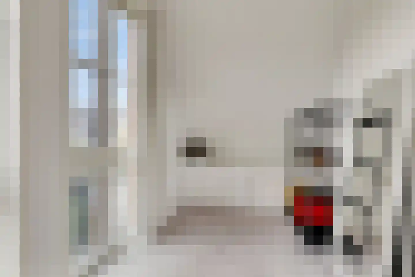 De Jonge Prins 16 Zaandam thumbnail 36