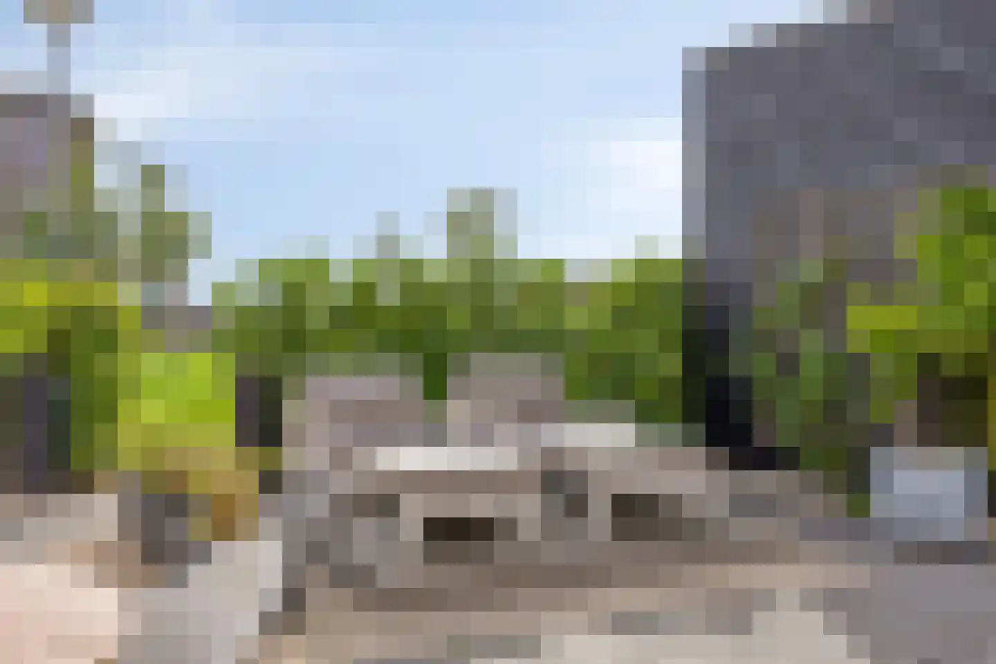 De Jonge Prins 16 Zaandam thumbnail 44