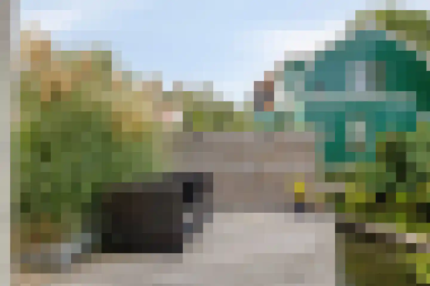 De Jonge Prins 16 Zaandam thumbnail 48