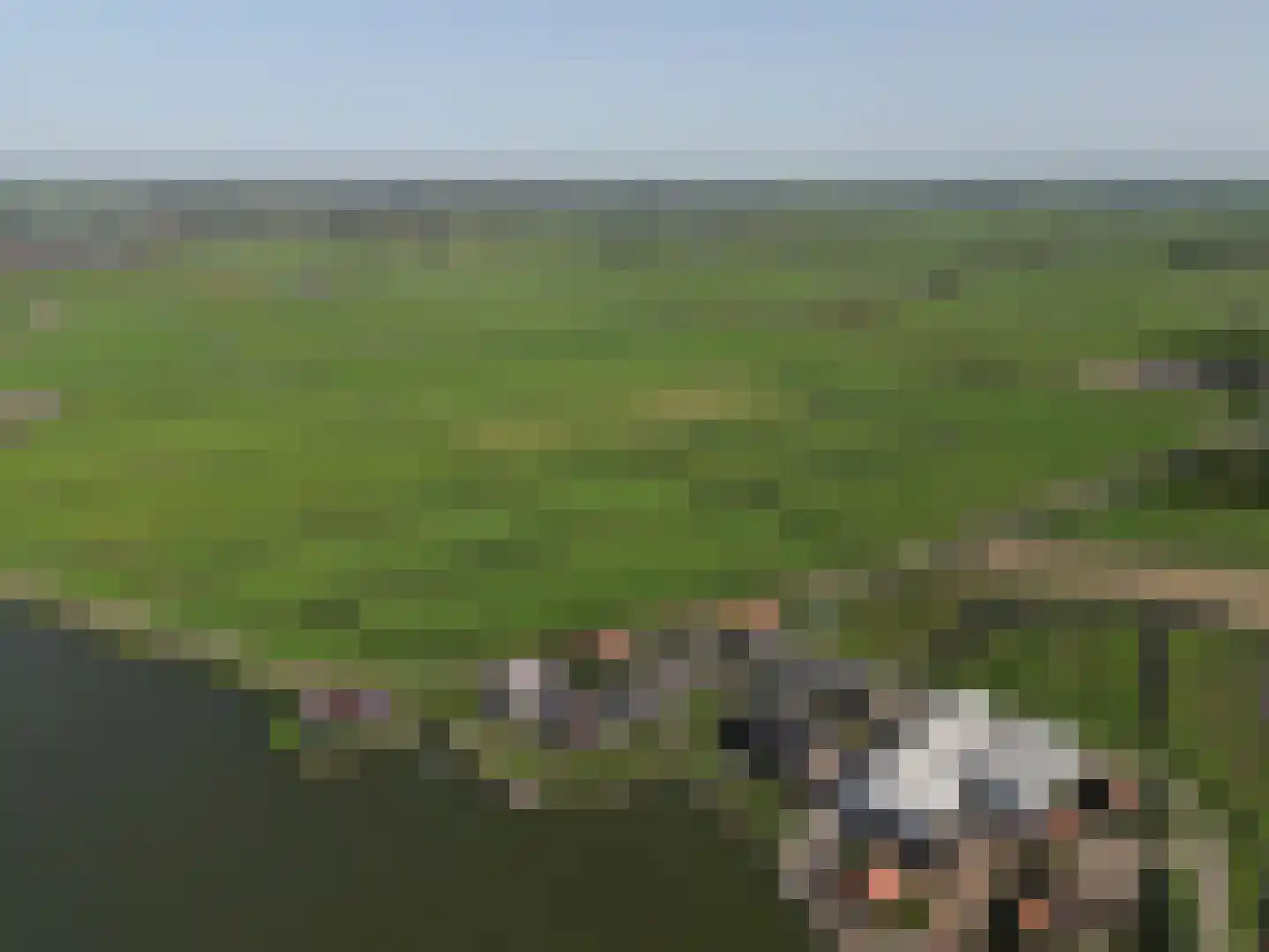 De Jonge Prins 16 Zaandam thumbnail 57