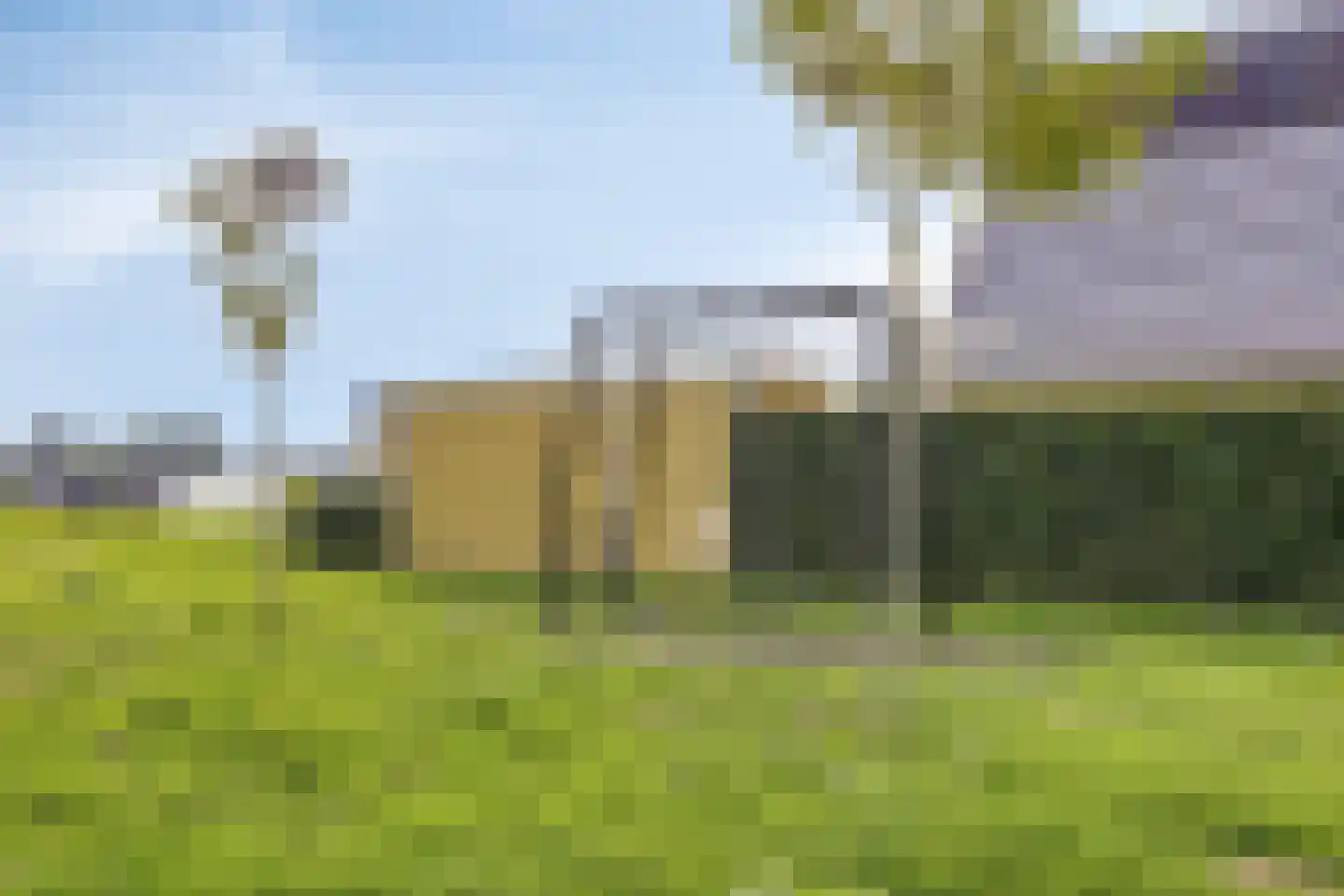 De Jonge Prins 16 Zaandam thumbnail 59