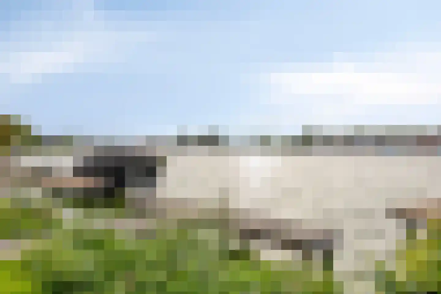 De Jonge Prins 16 Zaandam thumbnail 60