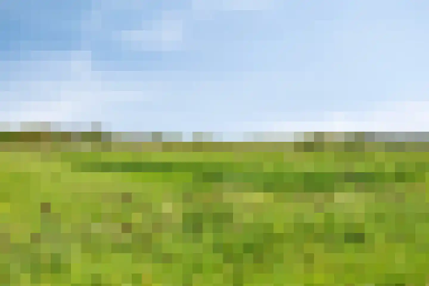 De Jonge Prins 16 Zaandam thumbnail 61