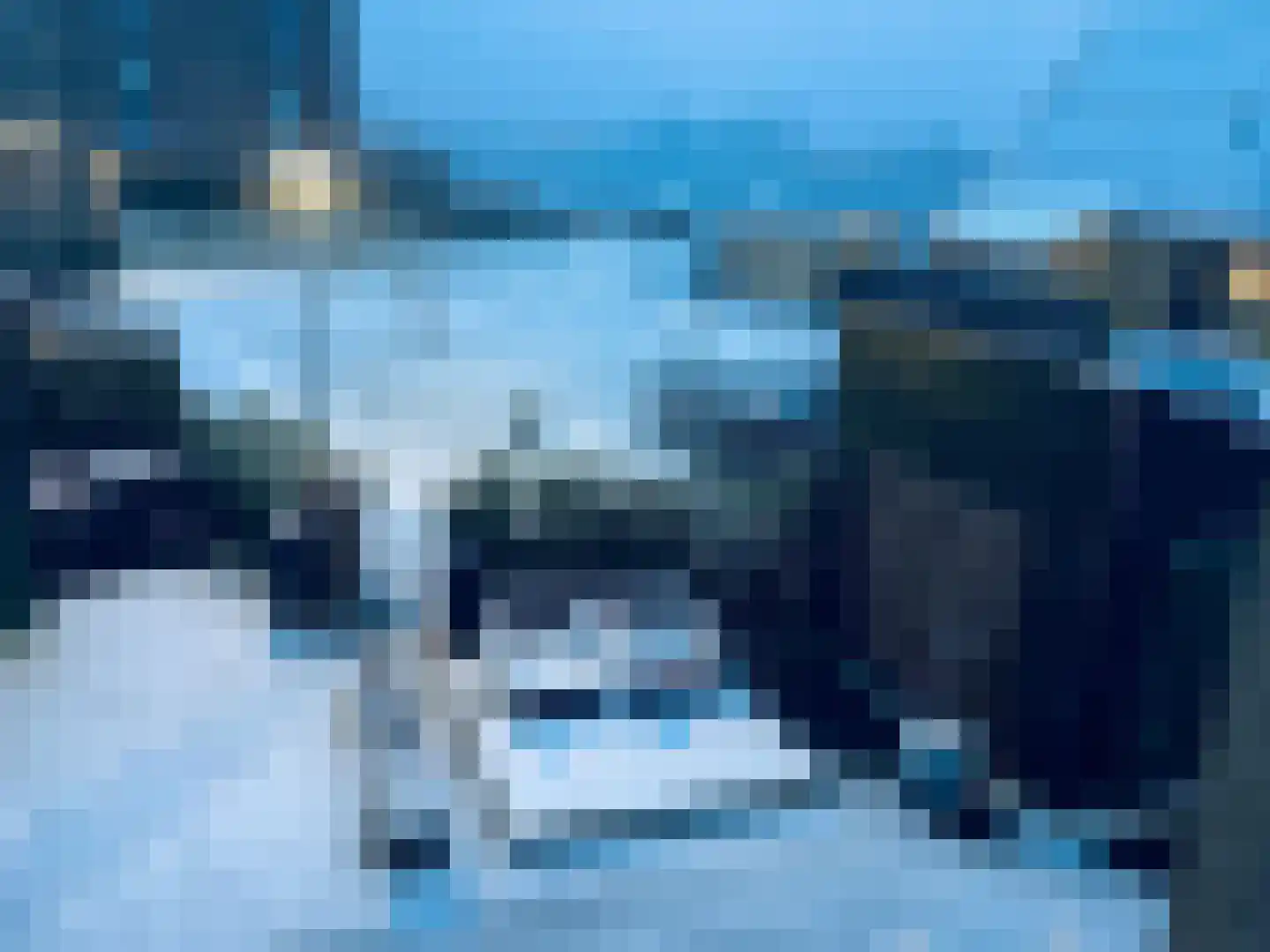 De Jonge Prins 16 Zaandam thumbnail 69