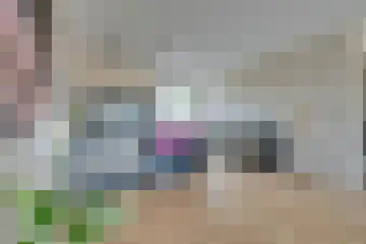 De Jonge Prinses 15 Zaandam thumbnail 11
