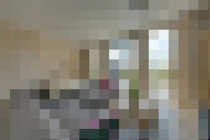 De Jonge Prinses 15 Zaandam thumbnail 13