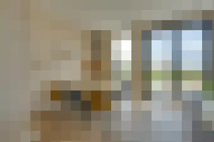 De Jonge Prinses 15 Zaandam thumbnail 14