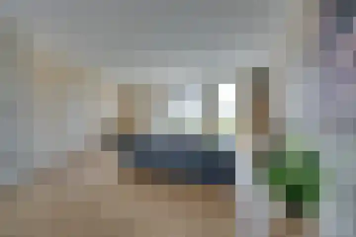 De Jonge Prinses 15 Zaandam thumbnail 18