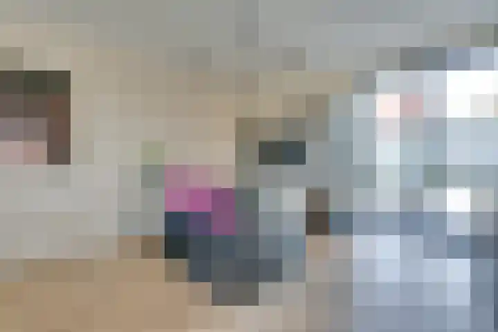 De Jonge Prinses 15 Zaandam thumbnail 22