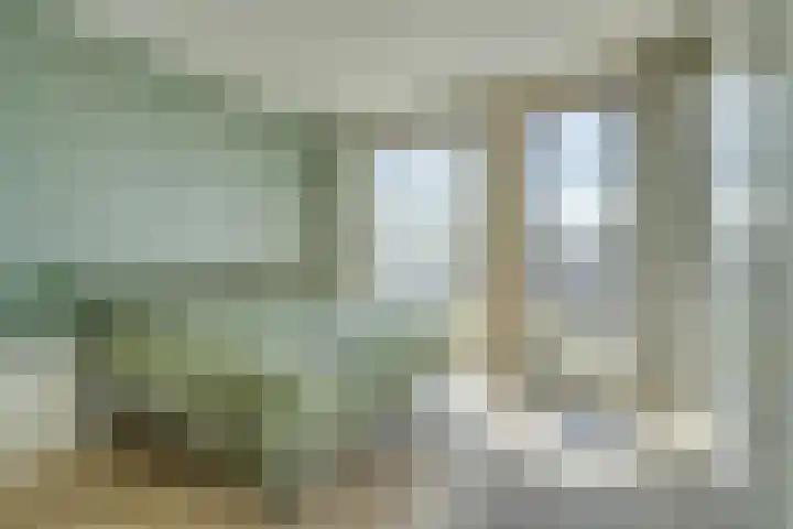 De Jonge Prinses 15 Zaandam thumbnail 31
