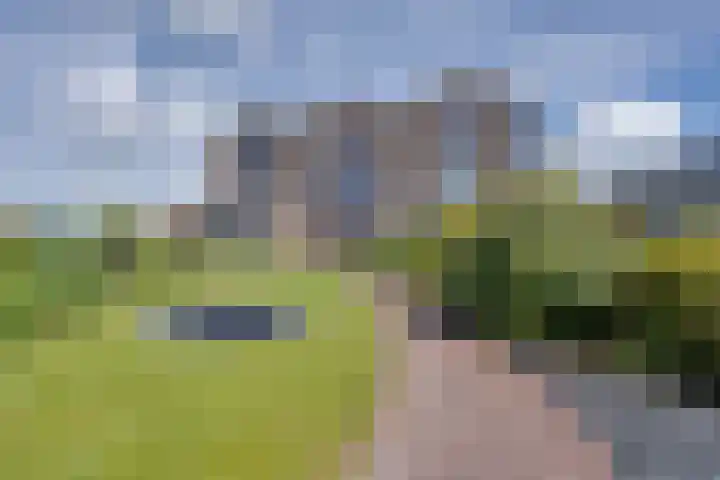De Jonge Prinses 15 Zaandam thumbnail 4