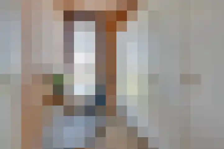 De Jonge Prinses 15 Zaandam thumbnail 40